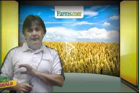 Farms.com Market School: Understanding Commodities Futures Options