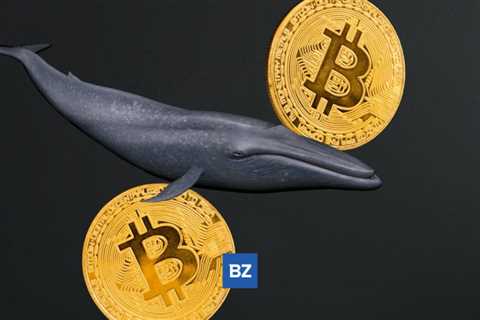 Bitcoin Whale moves 1,000 BTC from Coinbase – Bitcoin (BTC/USD)