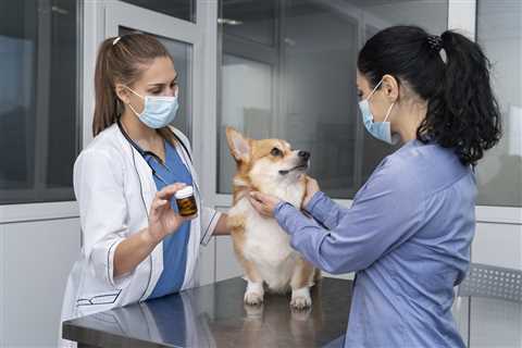 How To Become A Pet Nutritionist
