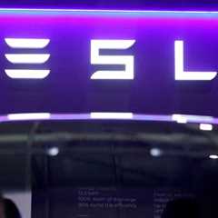 Tesla casts doubt on the hunt for a Mannequin T of EVs By Reuters