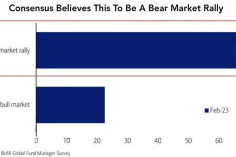 Majority of Fund Managers Still See Bear Market
