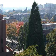 The Advantages of Doing Business in Clark County, Washington